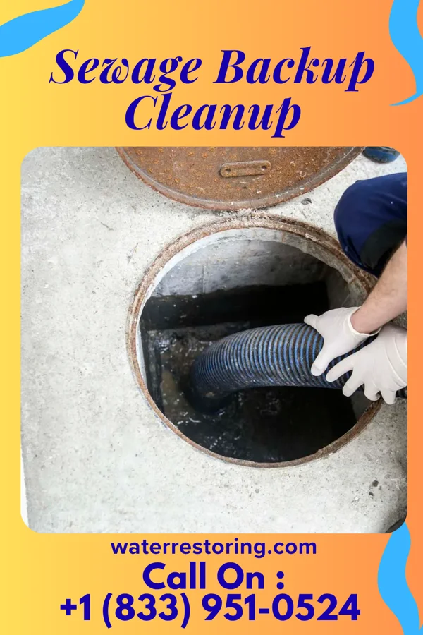 Sewage Backup Cleanup in Rayne, LA